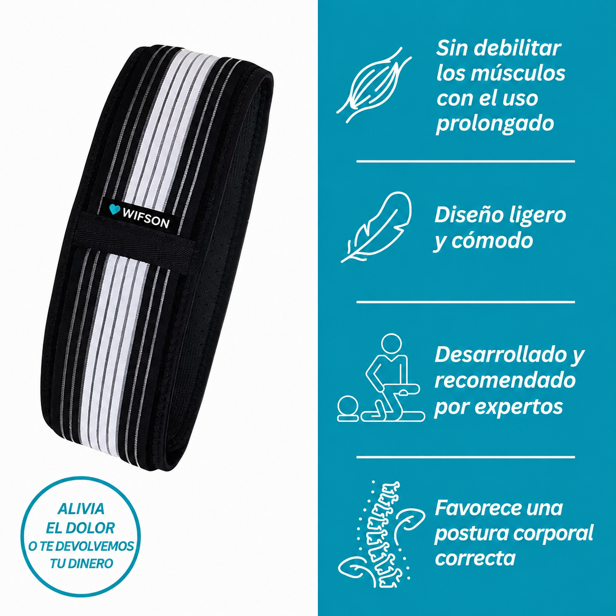 Cinturón ISG
