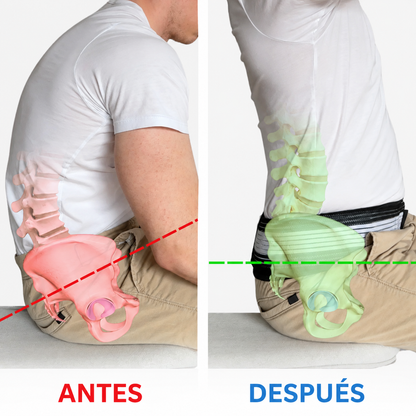 Cinturón ISG